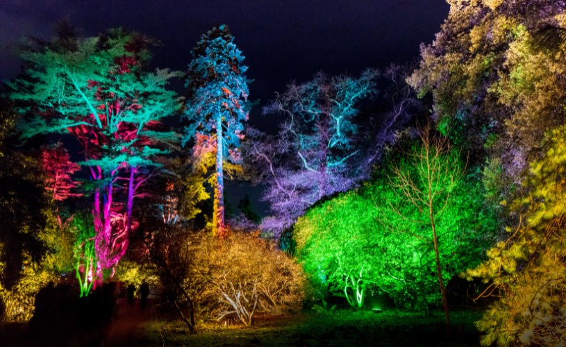 Westonbirt at Christmas